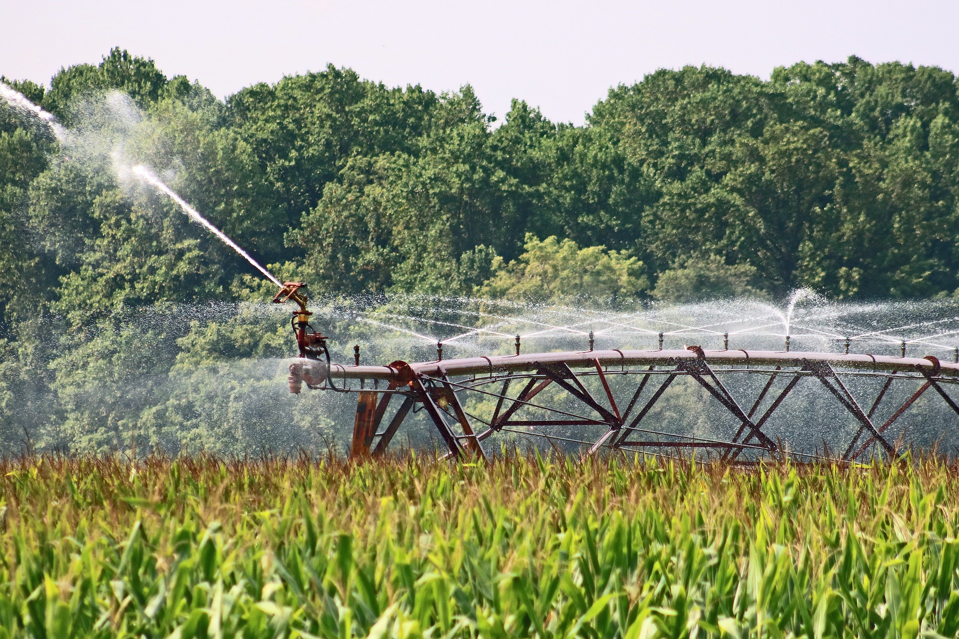 agricultura